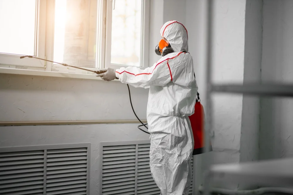 Professional mold remediation services in South Salem, NY